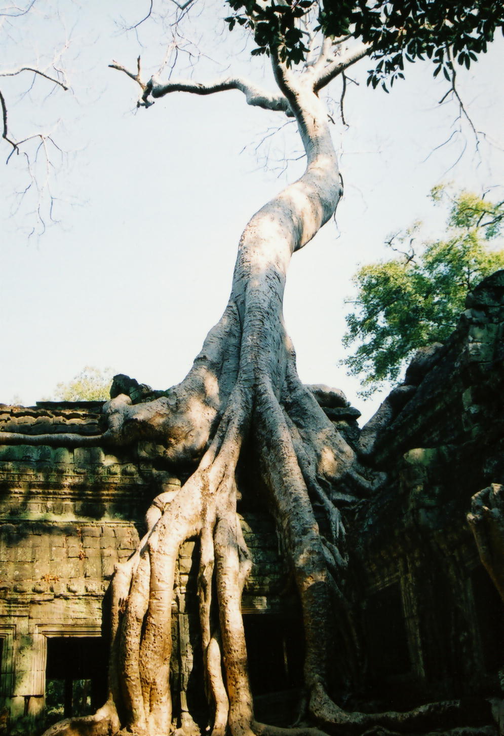 神秘的
