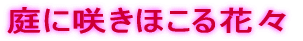 四季折々の草花 